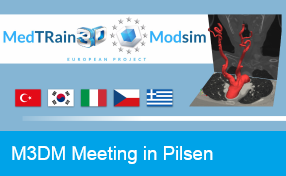 M3DM Meeting 2017
