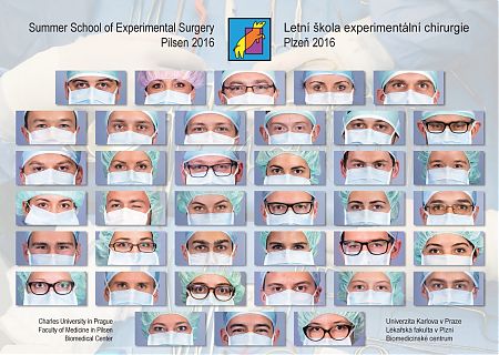 SSES 2016 close-up poster