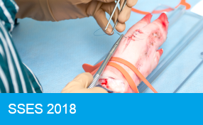 SSES 2018