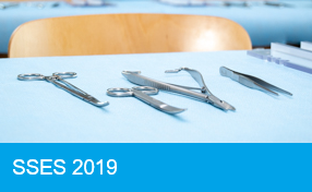 SSES 2019