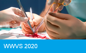 WWVS 2020