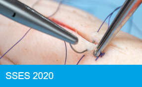 SSES 2020