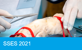 SSES 2021