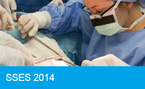 SSES 2014