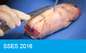 SSES 2016